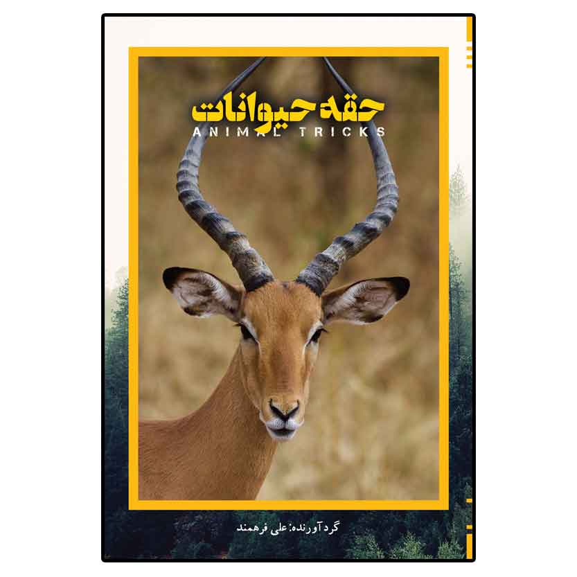 حقه حیوانات حقه حیوانات